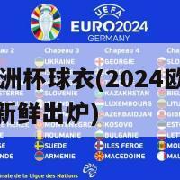 24欧洲杯球衣(2024欧洲杯球衣新鲜出炉)