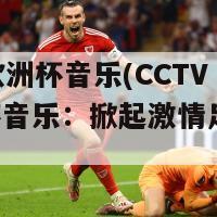 cctv5欧洲杯音乐(CCTV5欧洲杯音乐：掀起激情足球狂潮)